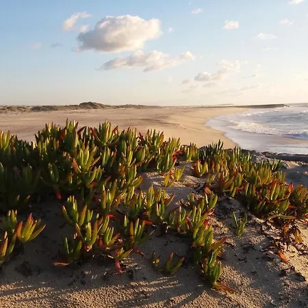 Sea House 4* Costa Nova