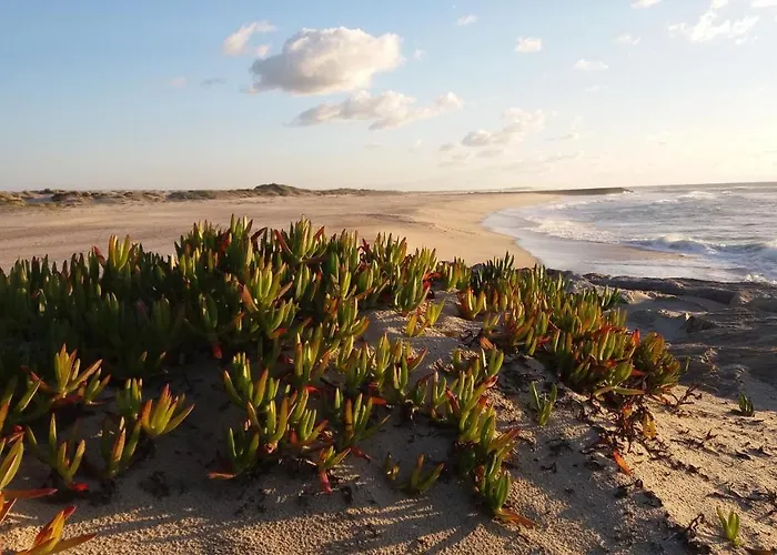 Sea House 4* Costa Nova